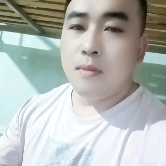 小杨小杨
