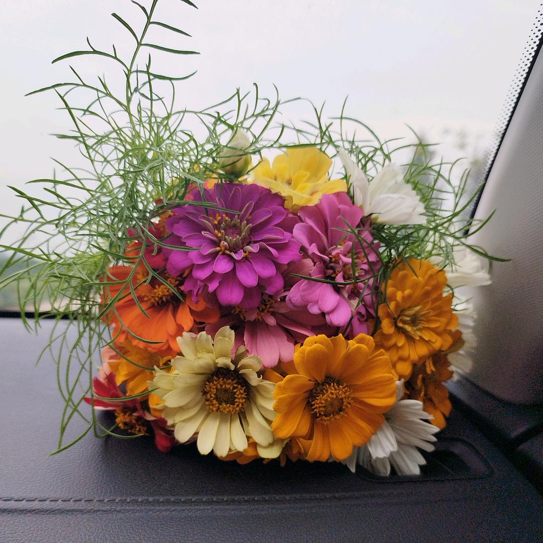 幸福一家人，聊天