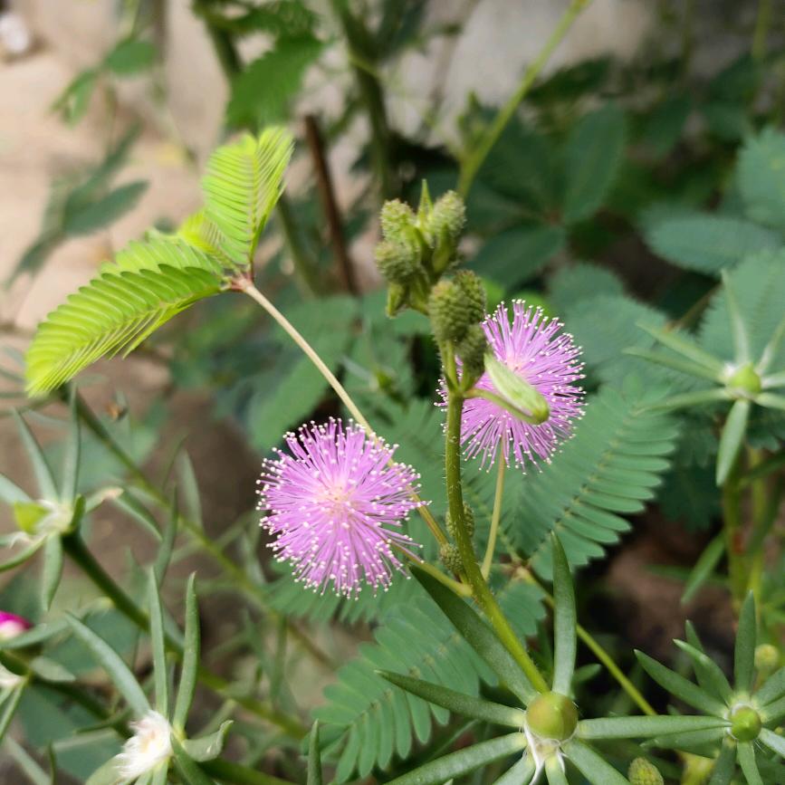 💥兜李有钱💰