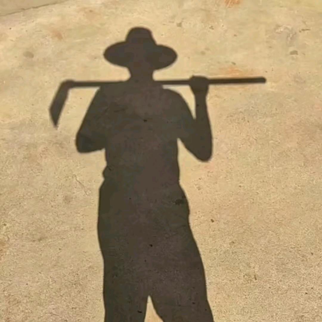 朵芮蜜希雁卉种子果树苗木专卖店