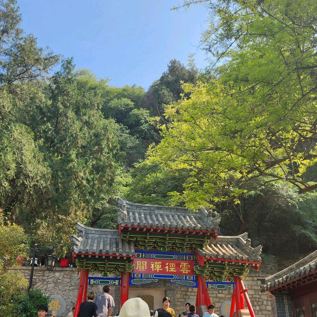 顺天地之自然