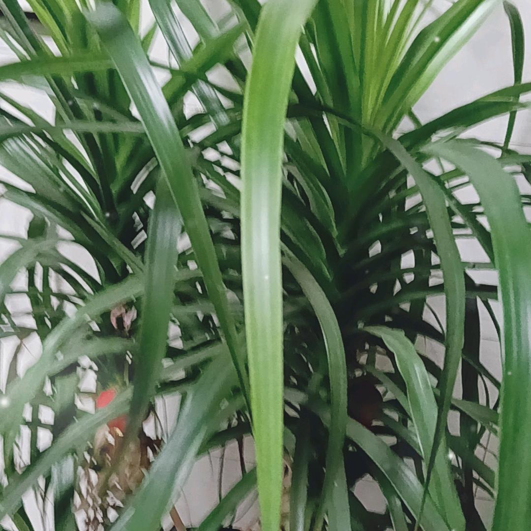 张姐健身操