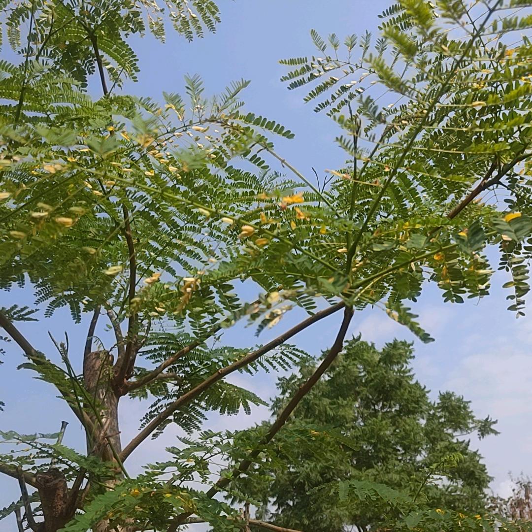 天一宾馆