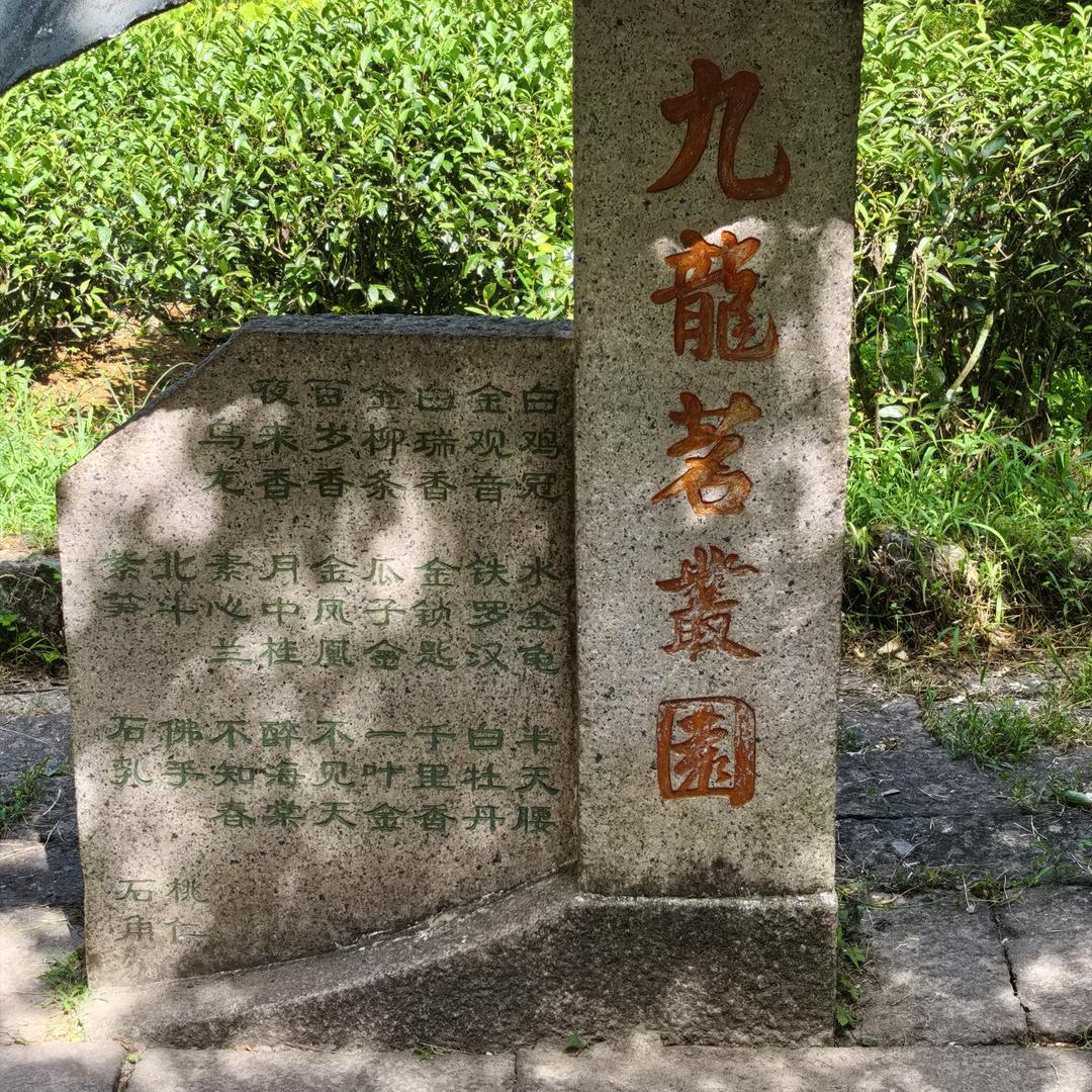 回忆