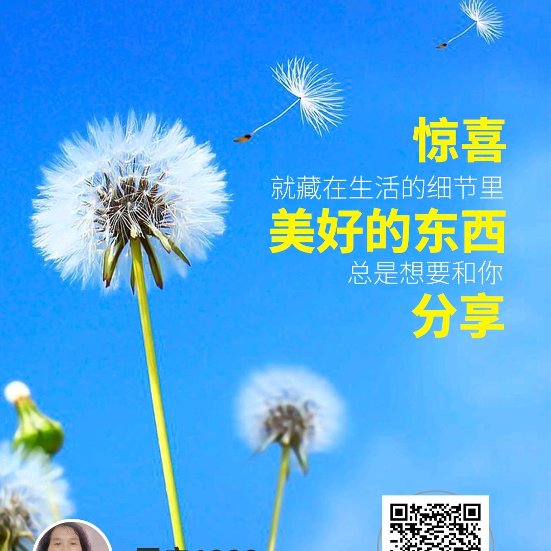 甜密码