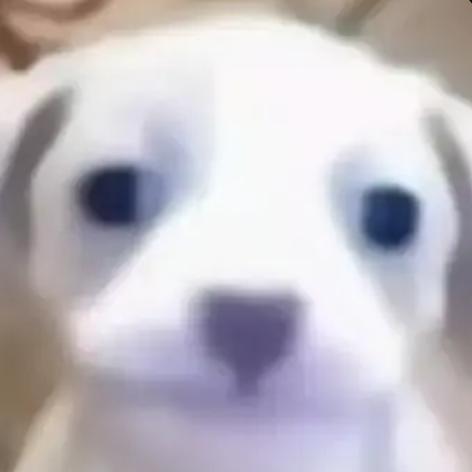 ZzzZz