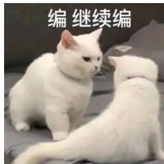保罗