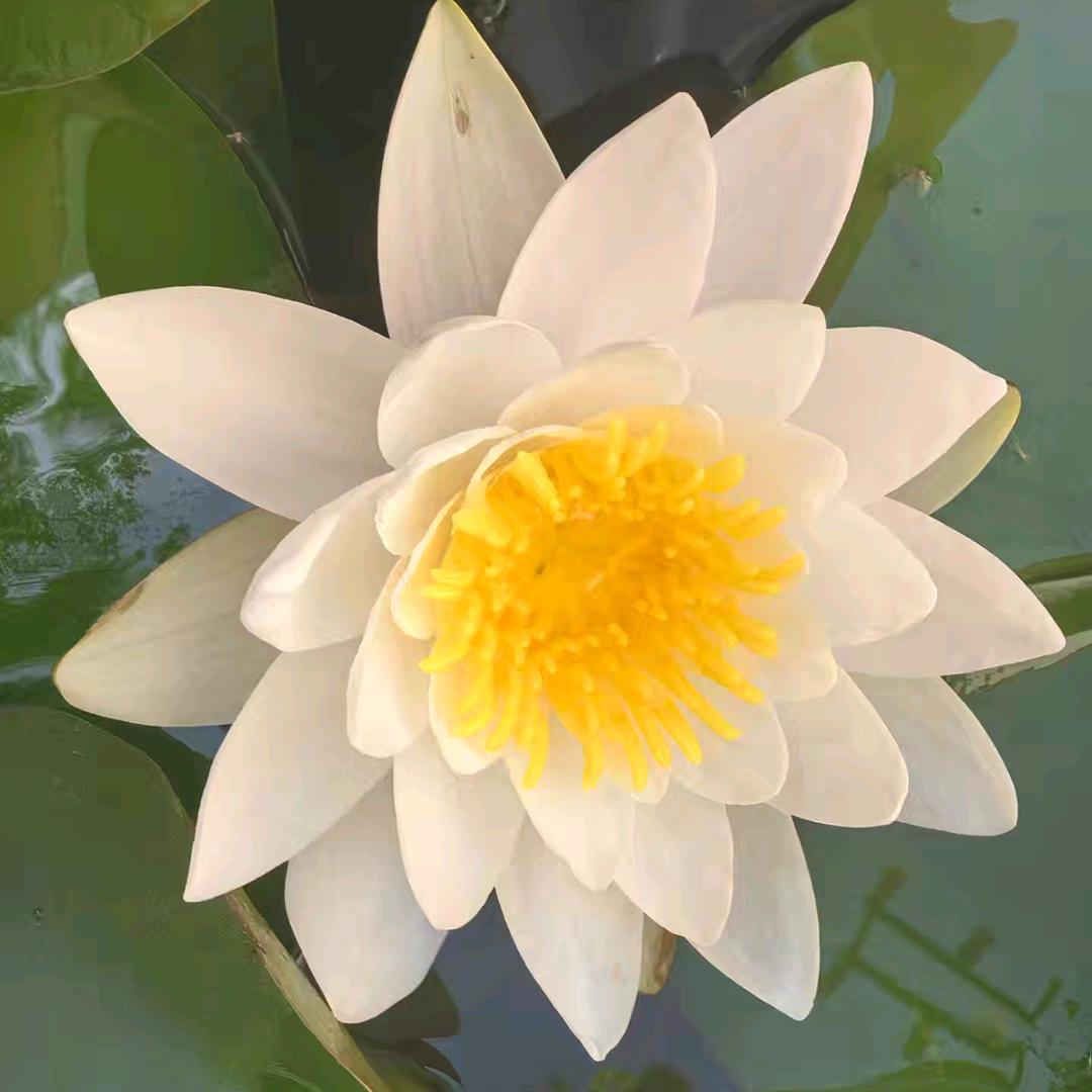 小雨滴🌿🌻🌿