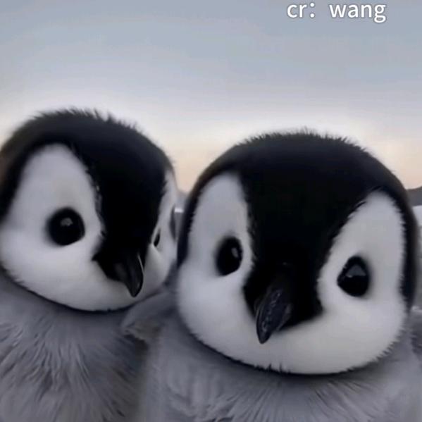 弦月重时⁷⁰⁷