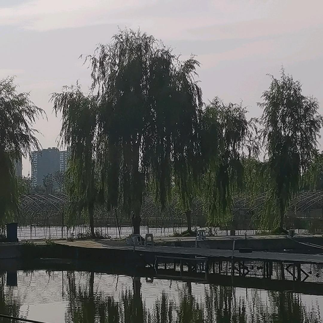 奔跑的打工人