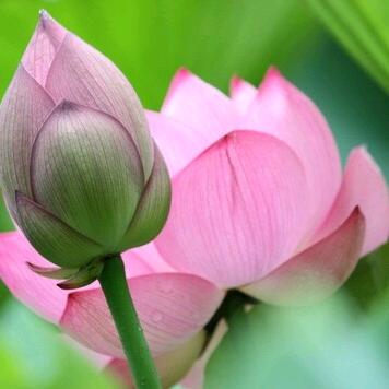 九台广东家电晓丽姐