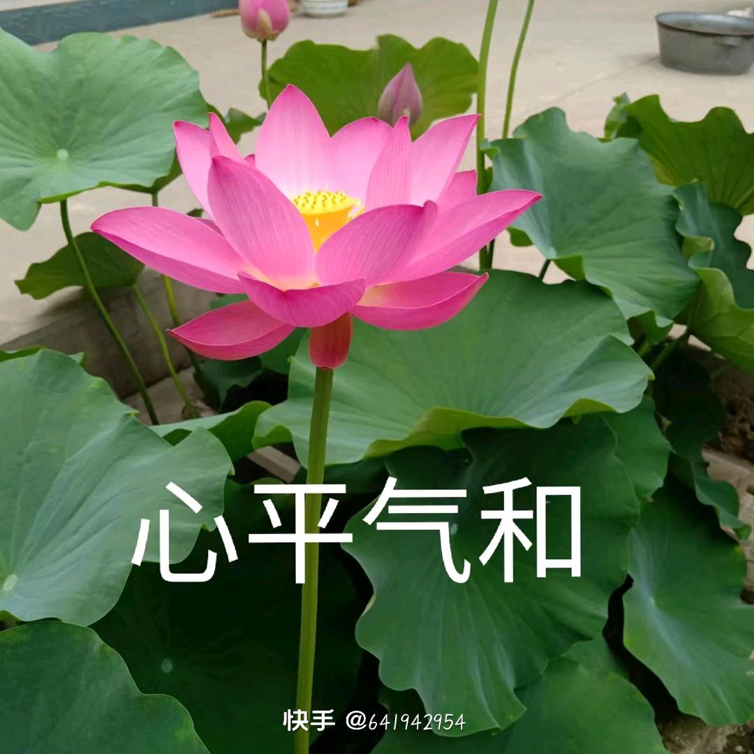 相信缘份