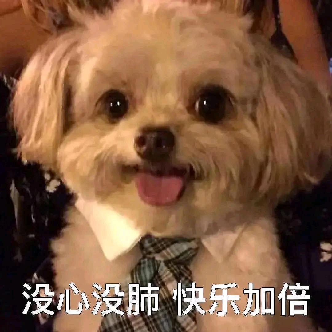 只吃一勺