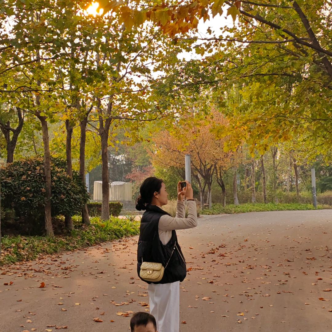 小王不emo🕊️（退休倒计时39年）