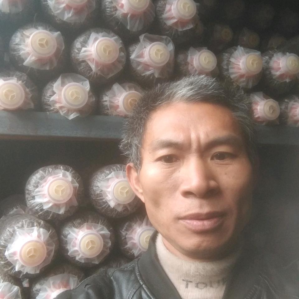 贵州天麻兴哥