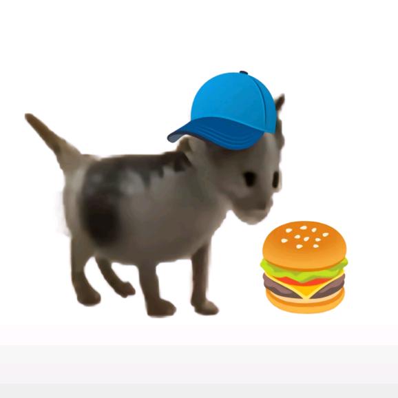 小猫驴吃汉堡