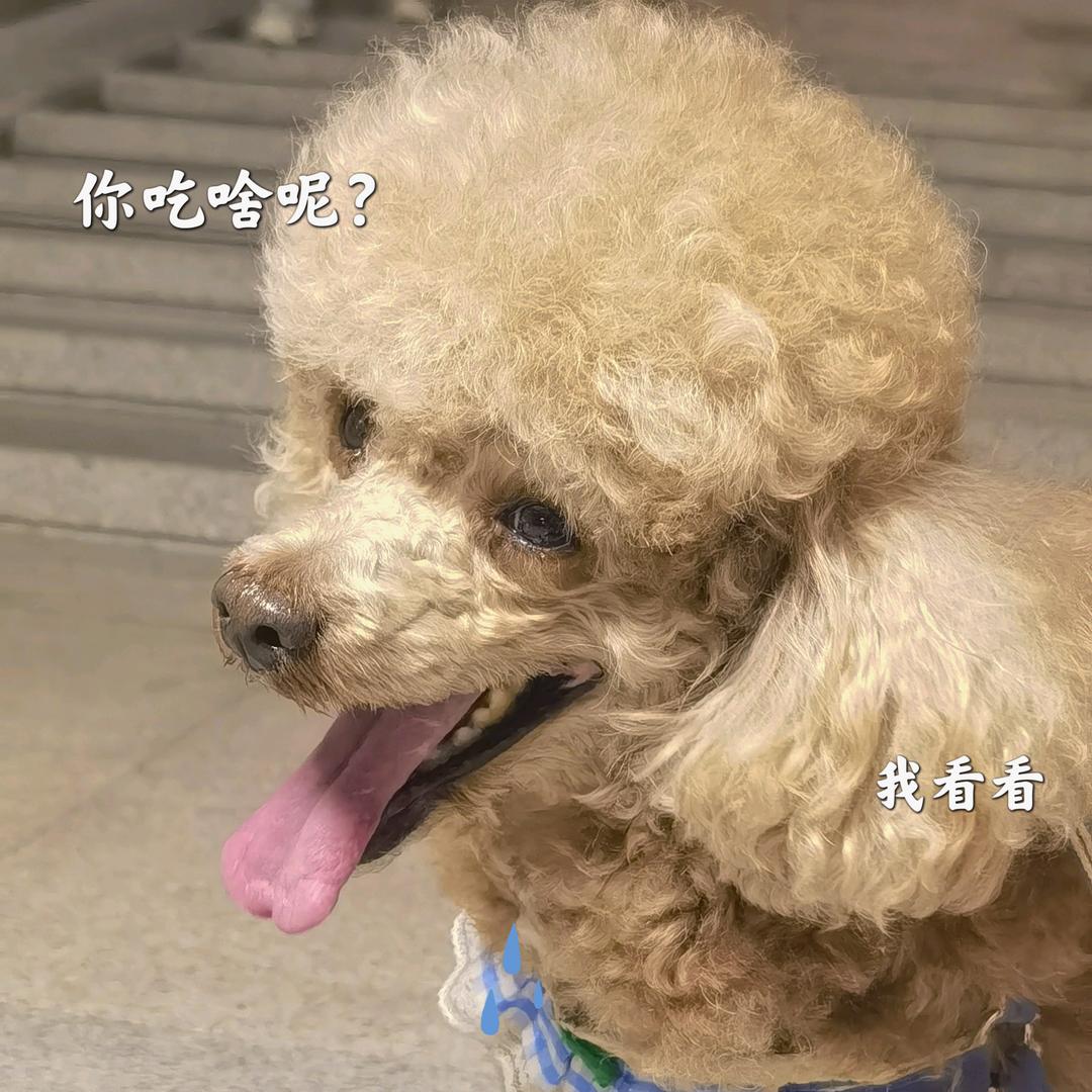春风拂面