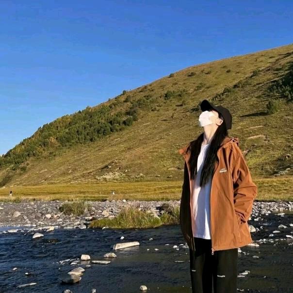 L   树宇