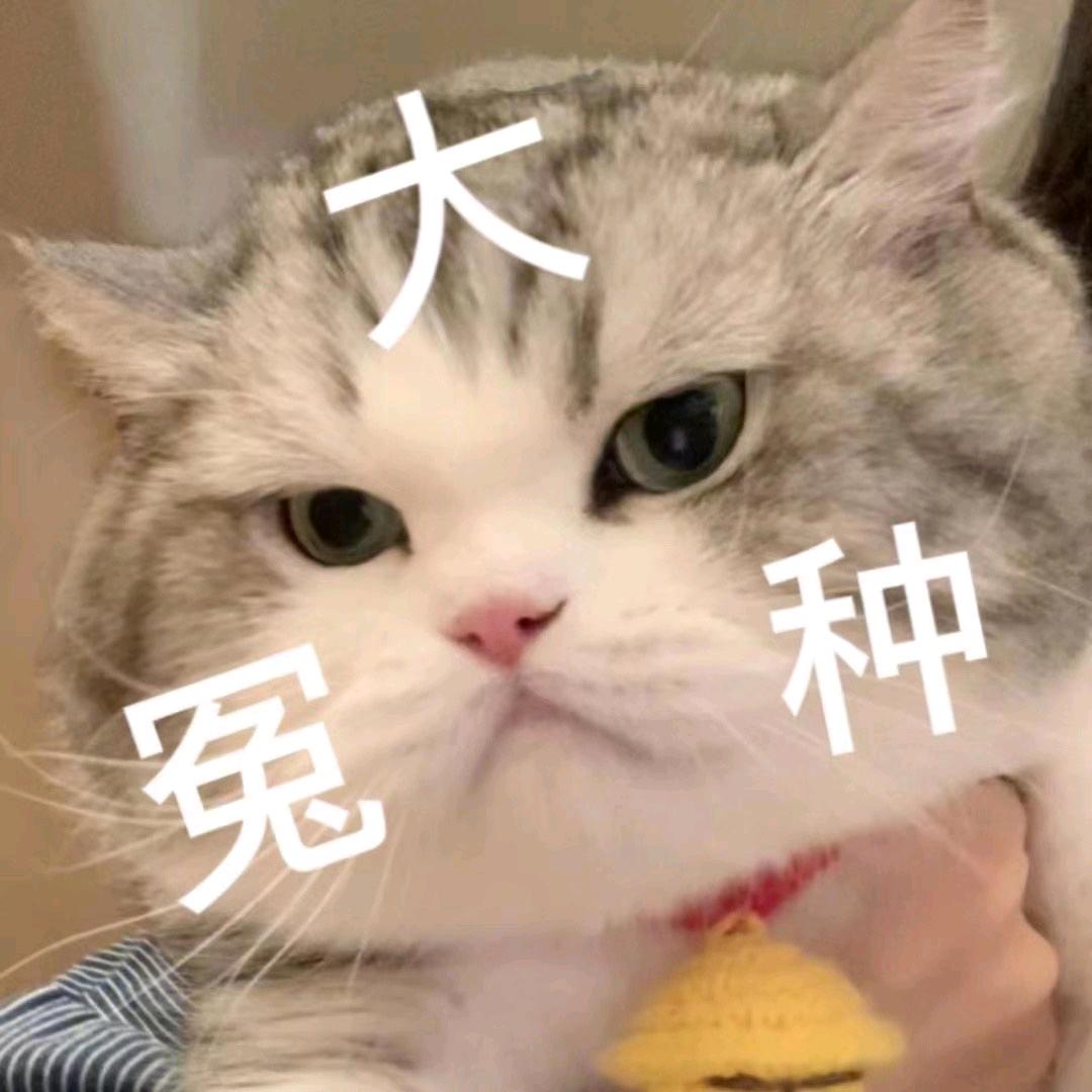 6465998313来