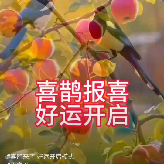 为💰而忙(充实)