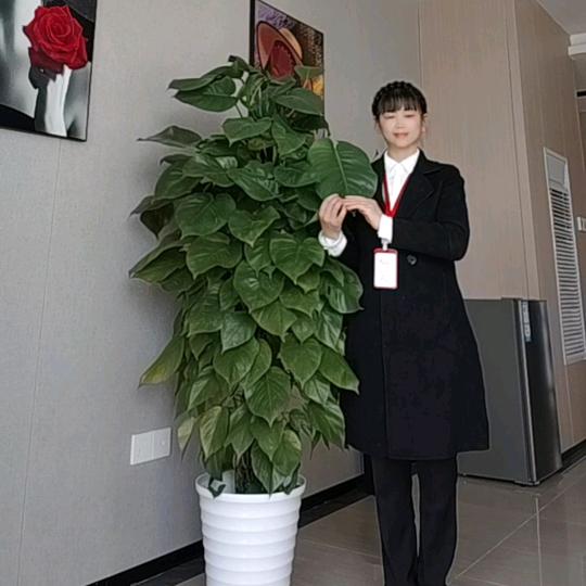 白云小号