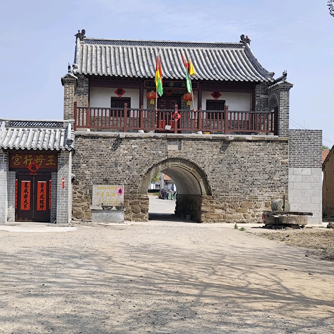 土豆（中视频学习中）