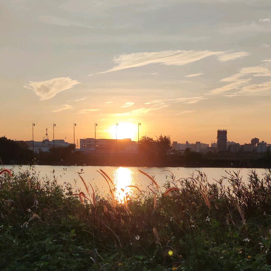 背影（颓废活着）