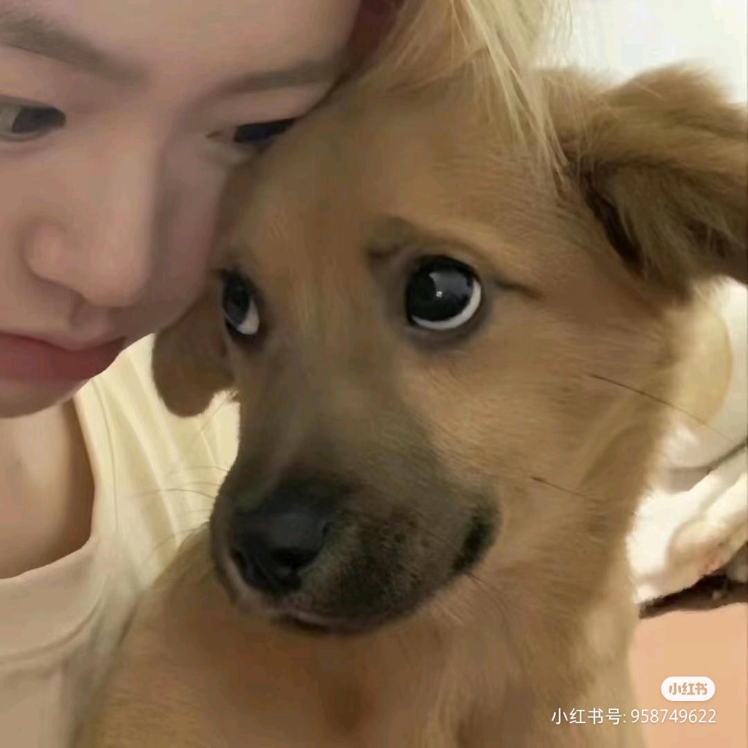 背了好多呢～(￣▽￣～)~