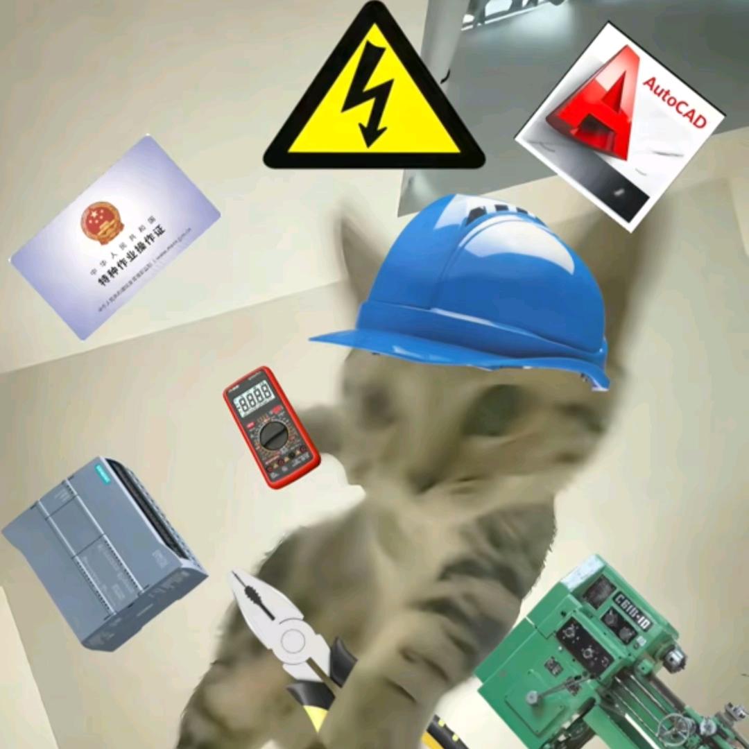 小王（自由版）