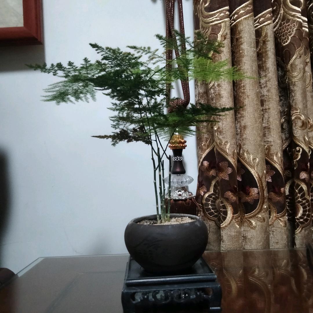 莹