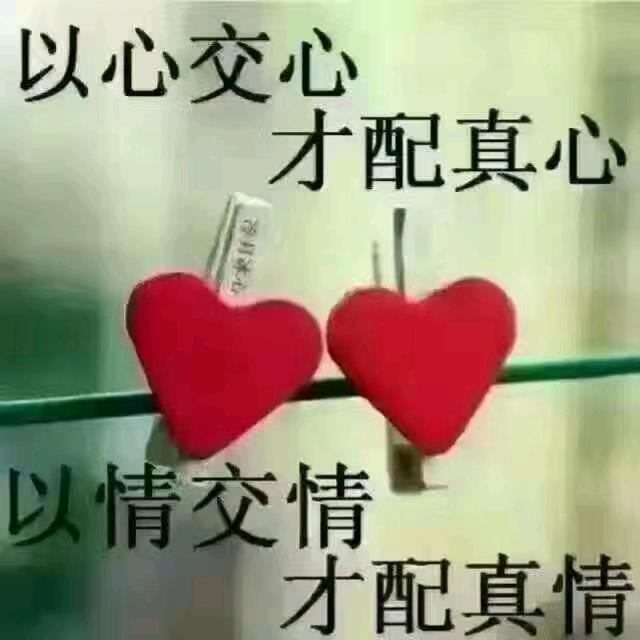 从新开始