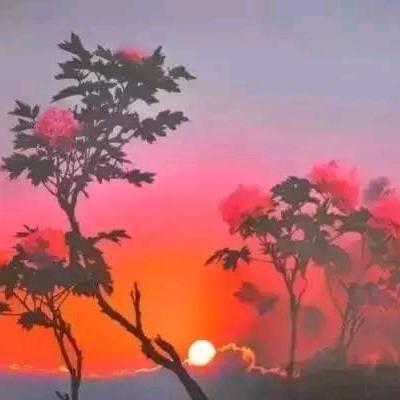 映山红AA