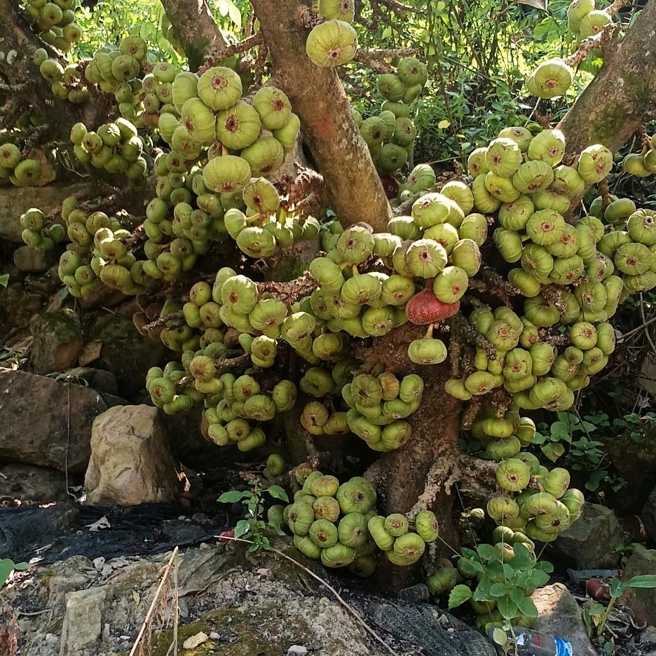 忘掉过去，从头再来