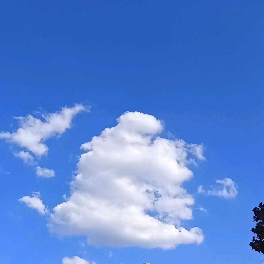 眼泪有点韩先生