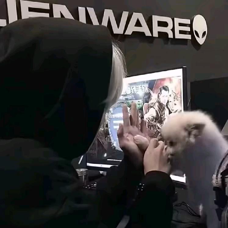 齐.