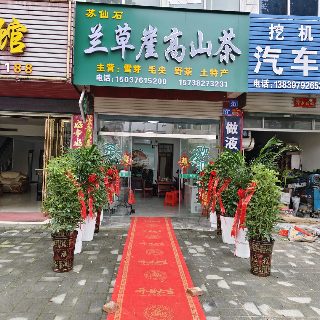 兰草崖高山茶@萧邦伟