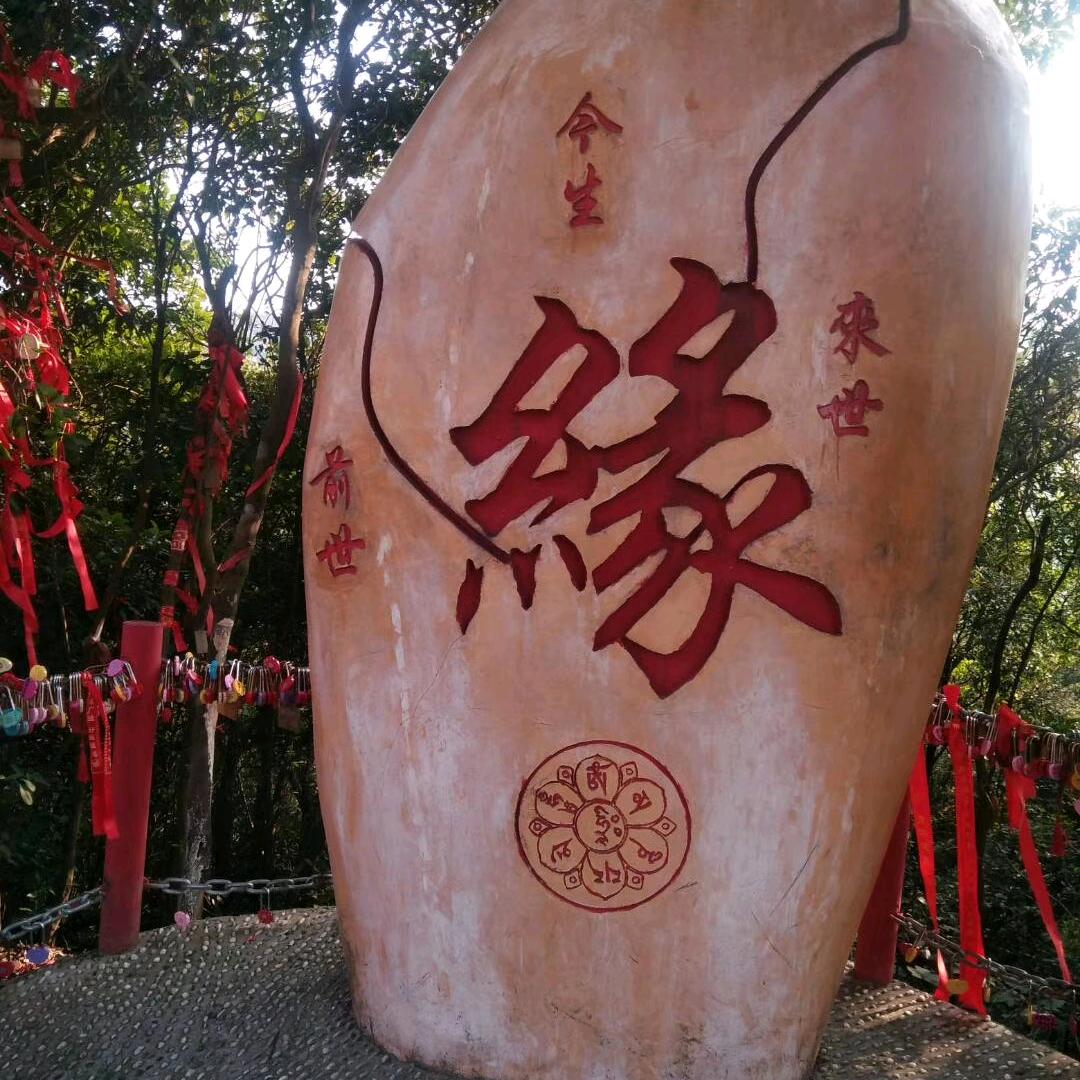 初悟棋道