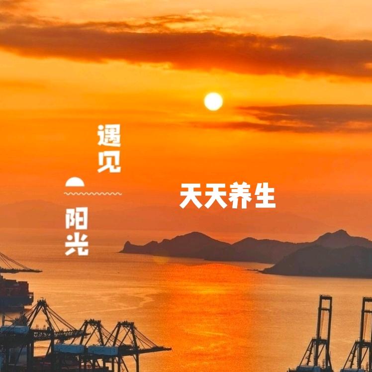 天天养生