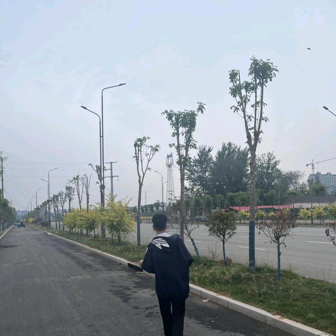 辉太狼