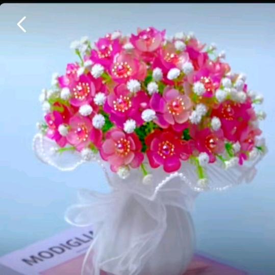 单🌺身🍒过💐一🌸辈🌹子