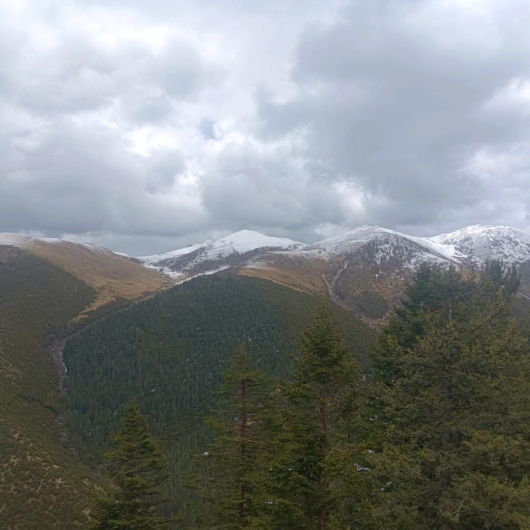 ╭一眼回眸、千年的痴迷