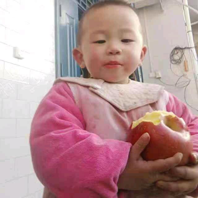 专业盘吸风灶38140366507