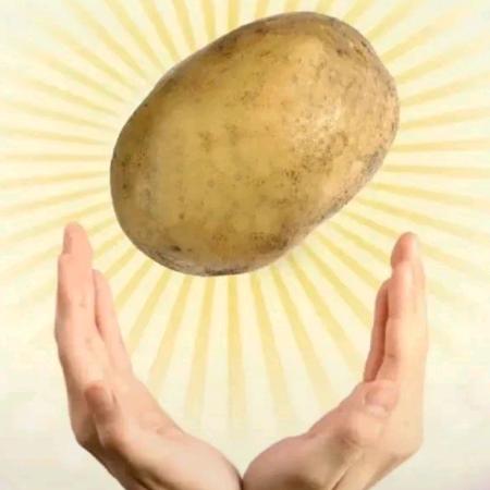 对对对对对对对