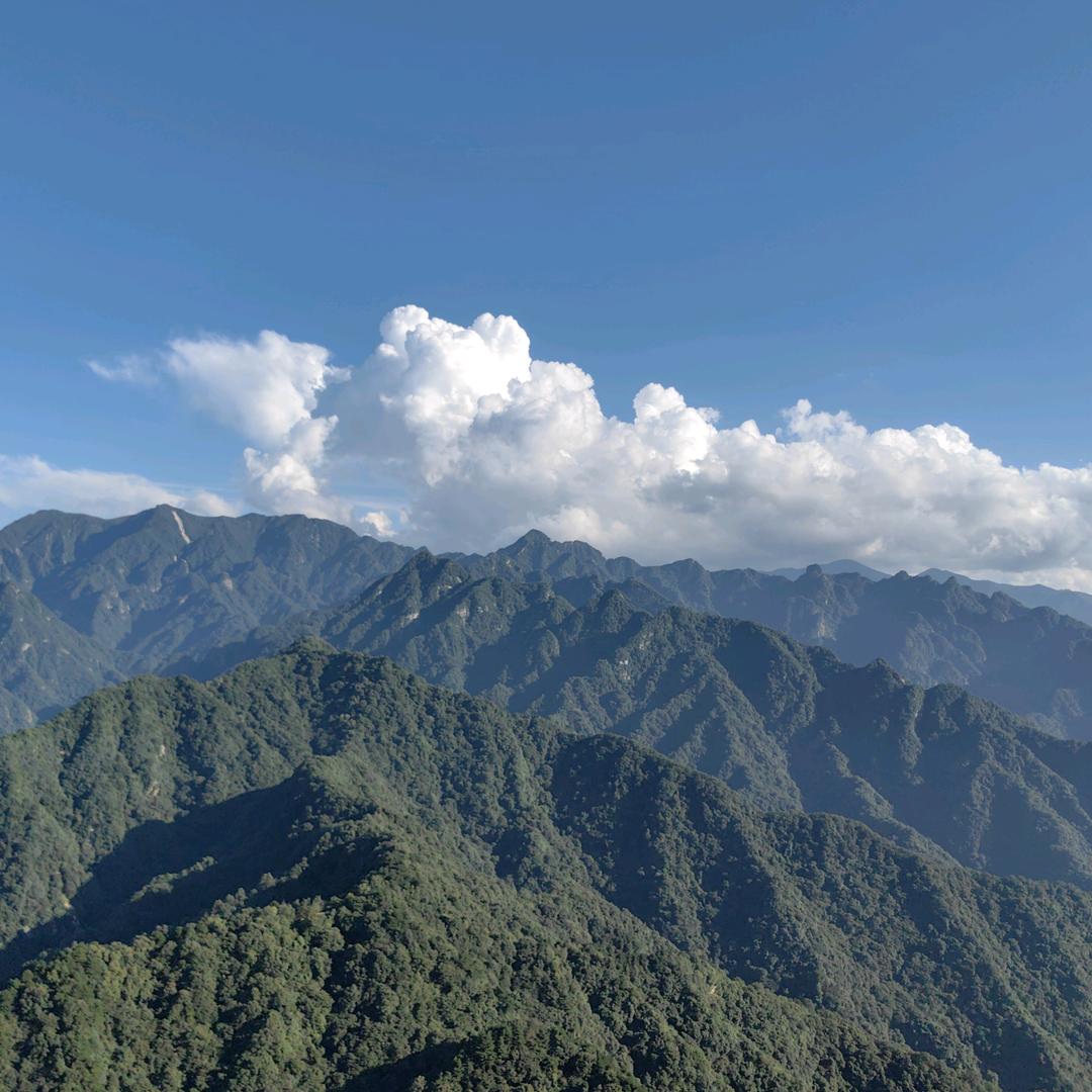 🇨🇳娱乐家♥