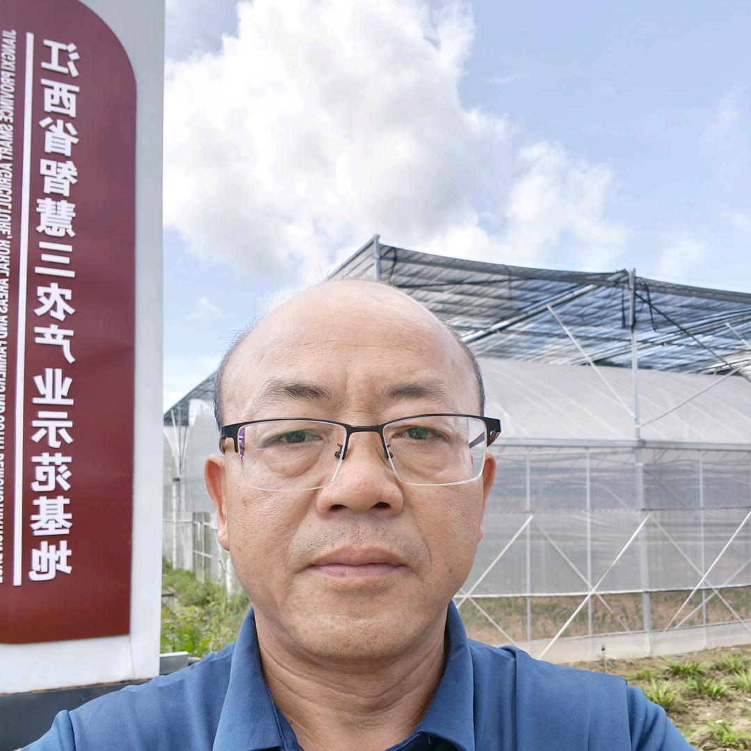 龙哥药材种植