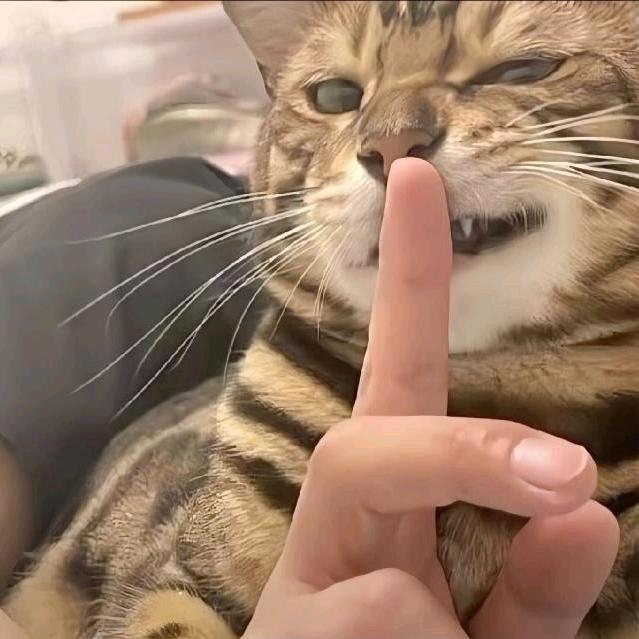 还是叫小李吧