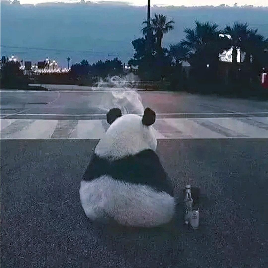初见@