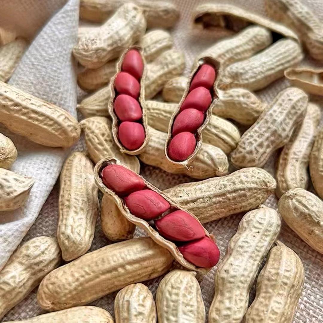 不得了郭姐好物精选