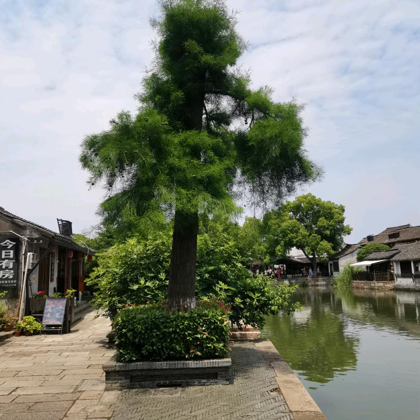 黄昏晓