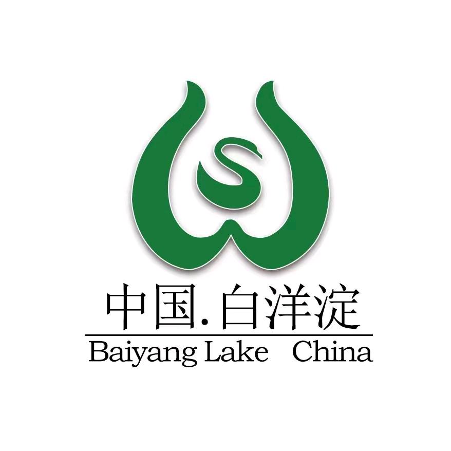 白洋淀风景区